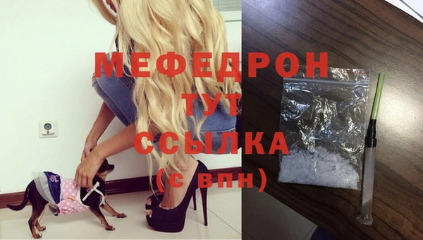 СК Гусь-Хрустальный