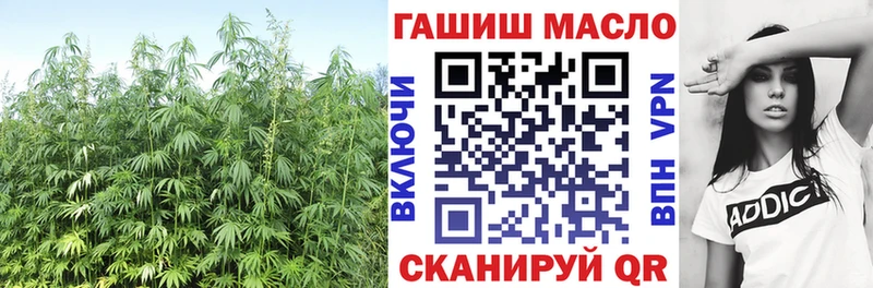 Купить где  Снежинск  Дистиллят ТГК гашишное масло 