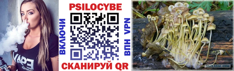 Купить  Снежинск  Галлюциногенные грибы Magic Shrooms 